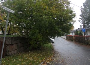 Ole Wingers vei Oslo 2014.jpg