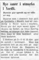 47. Om sauer i utmarka i Nordli i Namdal Arbeiderblad 28.10.1950.jpg