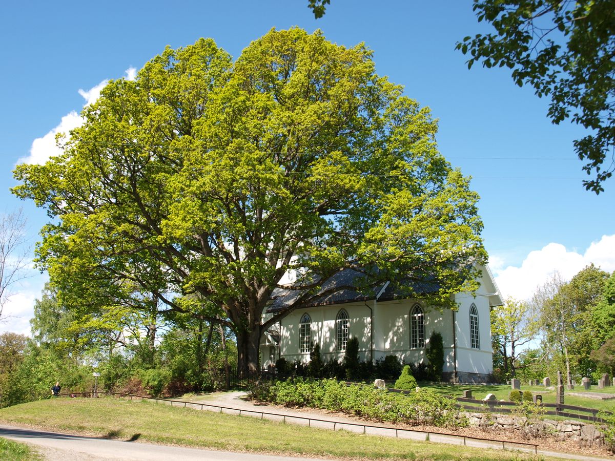 Svartskog Lokalhistoriewiki no
