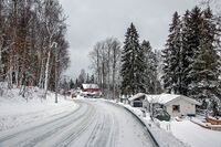 Oppegårdveien ved det svingete partiet som kalles «Griserumpa». Nøstvedtmarka til venstre. Foto: Leif-Harald Ruud (2018)