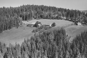 Opset under Langeland øvre gnr. 5 7 1956 Widerøe.jpg