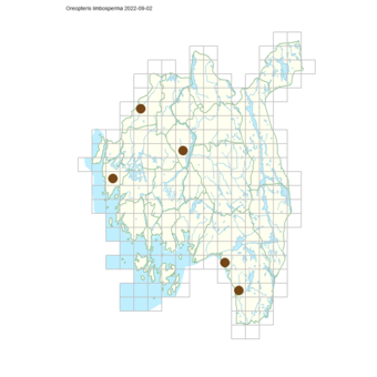 Oreopteris limbosperma.png