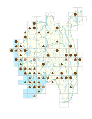 Origanum vulgare subsp. vulgare.png