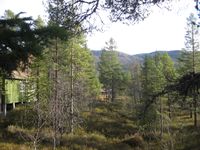 Utleigehyttene Orrebu og Bergstøylhytta 2010 sett mot Roan.