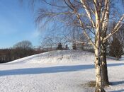 Det var her, i Oseberghaugen ved Tønsberg, at Osebergskipet ble funnet. Foto: Stig Rune Pedersen