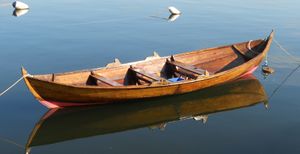 Oselver av moderne type.jpg