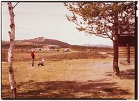 37. Oset Hotel pr. Gol. - no-nb digifoto 20160511 00294 NB NKF P 04 07 016.jpg