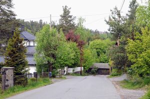 Oslo, Øvre Ljanskoll vei-1.jpg
