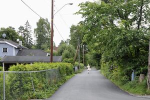 Oslo, Øvre Skogvei-1.jpg