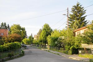 Oslo, Damfaret-5.jpg