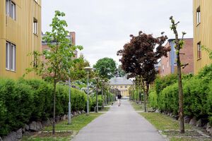 Oslo, Elmholt allé-1.jpg