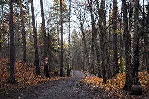 Oslo, Frølichs vei-1.jpg