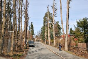 Oslo, Frognerseterveien-1.jpg