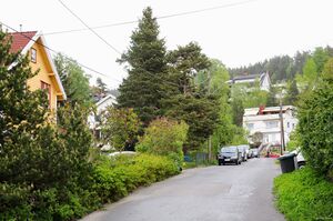 Oslo, Furukollveien-1.jpg