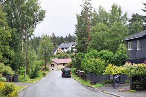 Oslo, Gjerdesmutten-1.jpg