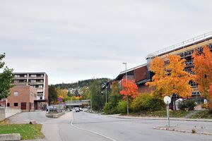 Oslo, Karl Fossums vei-1.jpg