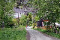 Parti fra Kollstien. Foto: Roy Olsen (2008).