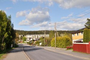 Oslo, Olaus Fjørtofts vei-1.jpg