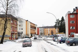 Oslo, Oppsalstubben-1.jpg