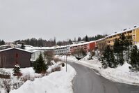 Vestlisvingen. Foto: Roy Olsen (2009).