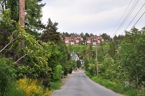 Oslo, Voksenliveien-1.jpg