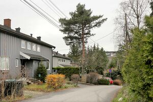 Oslo Østerliveien oversikt 251113.jpg