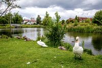 Like sør for Ring 3 gjennomstrømmes Øvre Smestaddammen av Holmenbekken. Foto: Leif-Harald Ruud (2015).