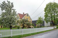 Fruktblomstring i Ustvedts vei. Foto: Leif-Harald Ruud (2016).