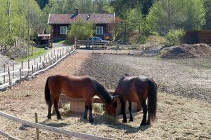 Oslo Burud 160508.JPG