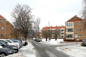 Enoks vei sett nordover fra Vårsvingen. Foto: Leif-Harald Ruud (2026).