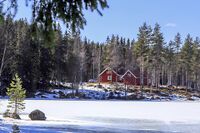 Plassen Skjerpeløkka i den sørvestre enden av Ørfiske. Foto: Leif-Harald Ruud (2020).