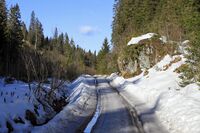Greveveien mellom Movatn og Ørfiske. Foto: Leif-Harald Ruud (2020).
