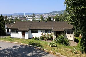 Oslo Haugerudhagan 42A-H 260714.JPG