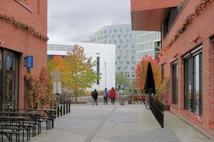 Oslo Køla-Pålsens gatetun oversikt 251025.jpg