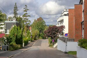 Oslo Lachmanns vei oversikt-1 250902.jpg