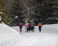 På sledetur fra Kjelsås ned til bygda. Foto: Leif-Harald Ruud (2011).