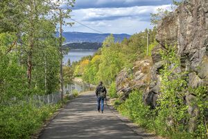 Oslo Mastemyrveien 200518.jpg