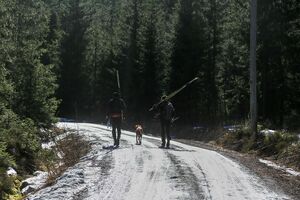 Oslo Olaf Lørenskogens vei 200320.jpg