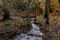 En annen av tilførselsbekkene til Prinsdalsbekken er Sponstubekken. Foto: Leif-Harald Ruud (2020).