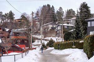 Oslo Rønningveien oversikt 240209.jpg