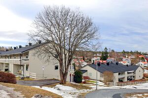 Oslo Solbakklia borettslag-3 250302.jpg