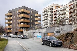 Oslo Solveggen borettslag 250411.jpg