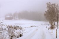 Parti fra Strømsbråtaveien. Markaloven skimtes i bakgrunnen til venstre. Foto: Leif-Harald Ruud (2022)