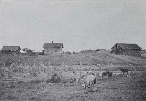 Osvold vestre i Sbb.JPG