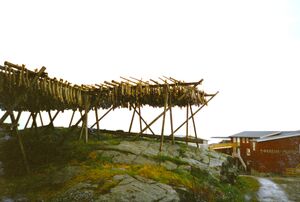 Ou1994 Moskenes Fiskhjell ved Toerrfiskmuseet.jpg