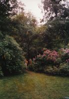 7. Ou1997 Leikvin 5.jpg