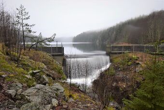 Demningen på Bårsrudtjernet ble bygget etter at isdriften på tjernet var slutt. Mens det ble skåret is, var nivået på tjernet på nivå med veien nedfor demningen. (Foto: Victor Iversen 2019)
