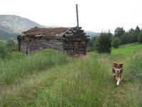 57. Ovre Gloverstad 2010 a.jpg