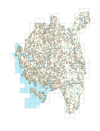 Oxalis acetosella 1.png