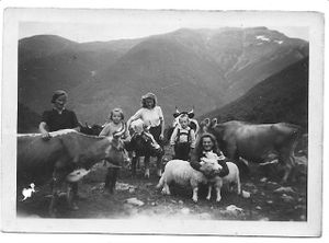 På Dalsetet i Feios.jpeg